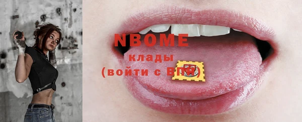 сатива Аркадак