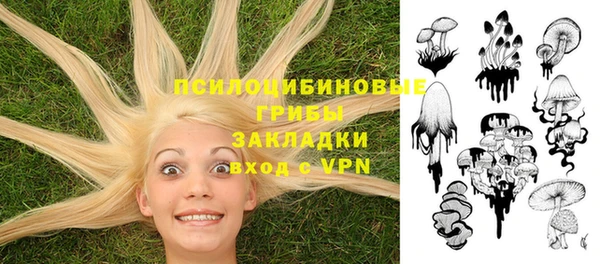 первитин Арсеньев