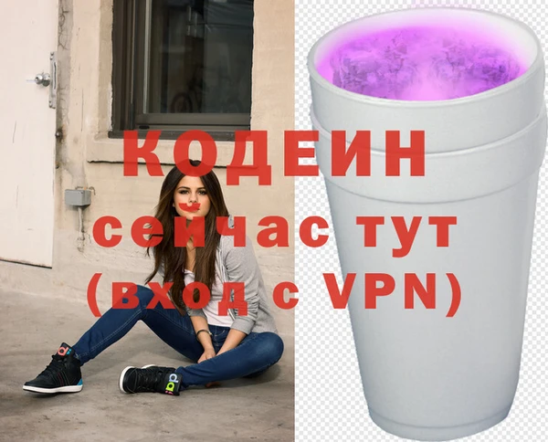 сатива Аркадак