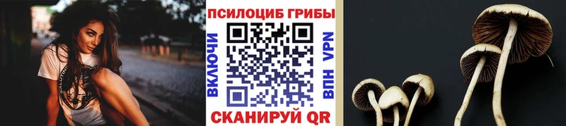 цены   Сосногорск  MEGA зеркало  Галлюциногенные грибы Psilocybine cubensis 